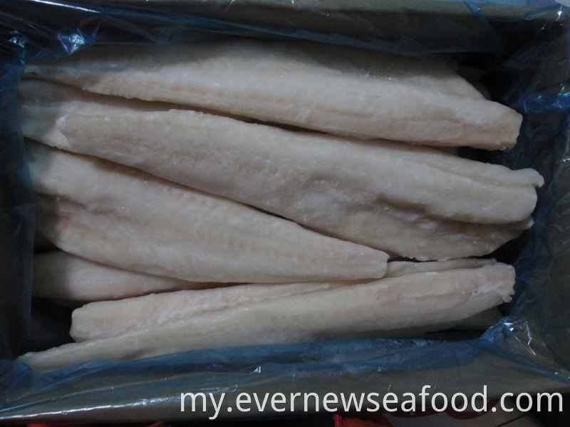 FAO 67 alaska pollock ငါး အေးခဲထားသော alaska pollock အသားလွှာ